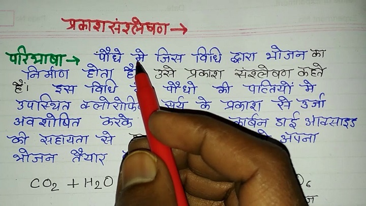 प्रकाश संश्लेषण क्या है? Prakas Sansleshan Kya hai? प्रकाश संश्लेषण क्या है Prakas Sansleshan Kya hai
