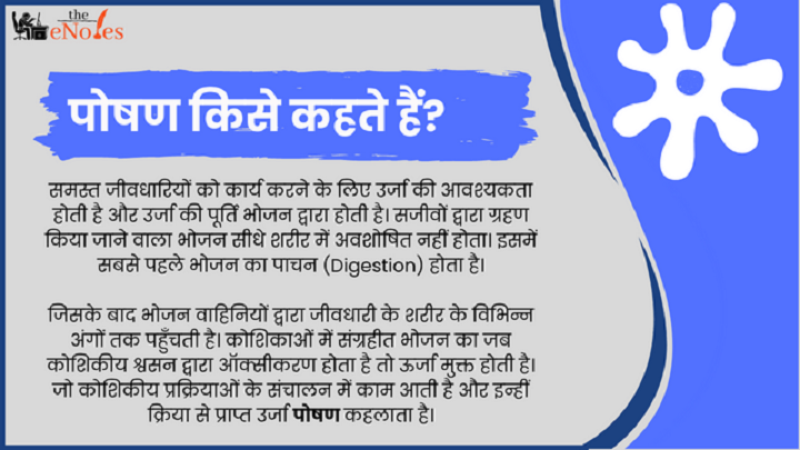 पोषण किसे कहते हैं? Poshan Kise Kahate Hai पोषण किसे कहते हैं Poshan Kise Kahate Hai