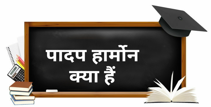 पादप हार्मोन किसे कहते है? पादप हार्मोन किसे कहते है